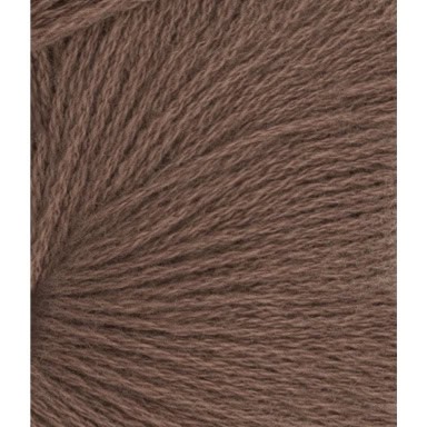 col. 3161 acorn