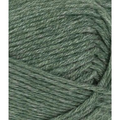 col. 8072 forest