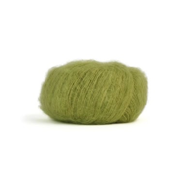 col. 16 lichen