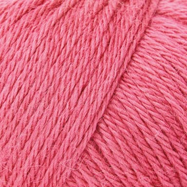 col. 119 peony