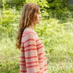 Strickset KLEIVA DAMENGENSER mit Garn und Anleitung – Bild 2