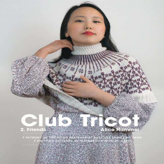 Club Tricot 2 Wollgarn für Strick- und Häkelprojekte, hochwertige Wolle, kreative Handarbeit, Wollke-Shop.