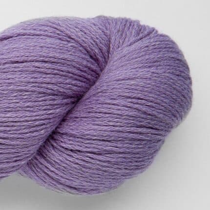 Lavander