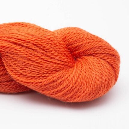 Leuchtend Orange RAS