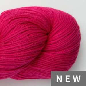 Raspberry Sorbet
