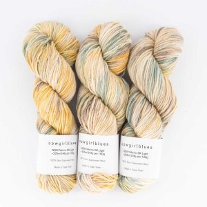 NSW Merino DK Farbverlauf 100g Im Like A Bird