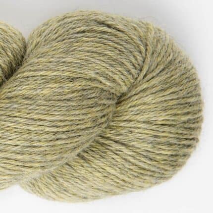 Dry Thyme
