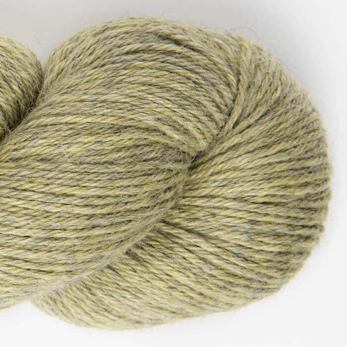 Puna Babyalpaka RAS Dry Thyme - Amano