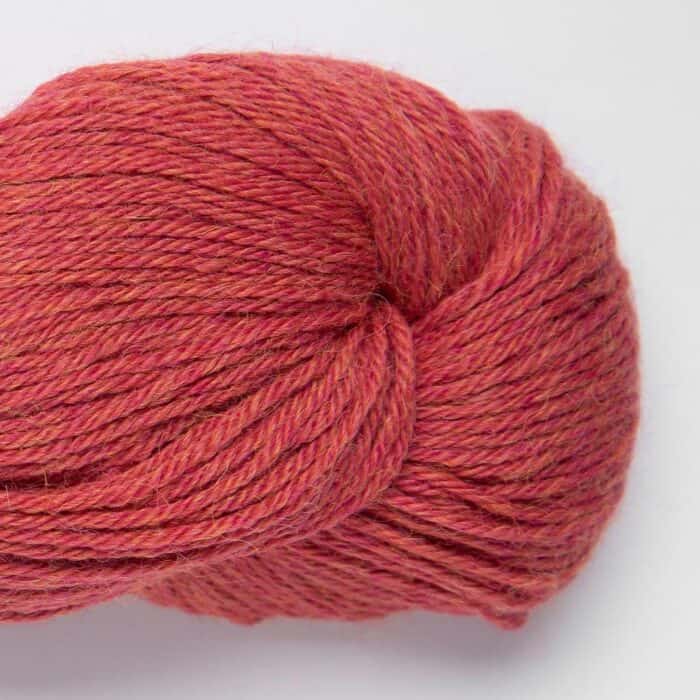 Puna Babyalpaka RAS Raspberry - Amano