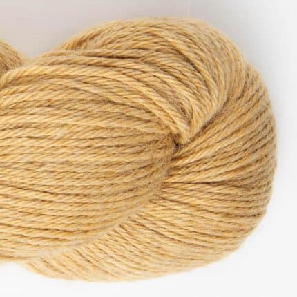 toasted_wheat