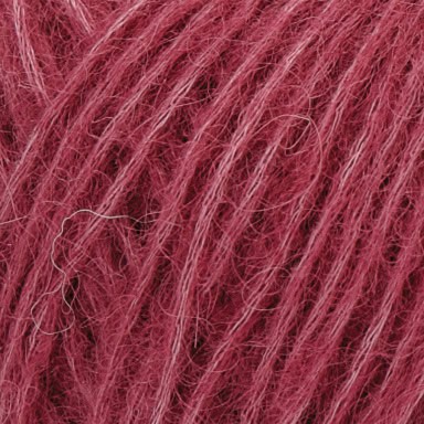 col. 125 berry sorbet