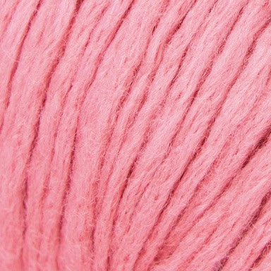 col. 207 piglet