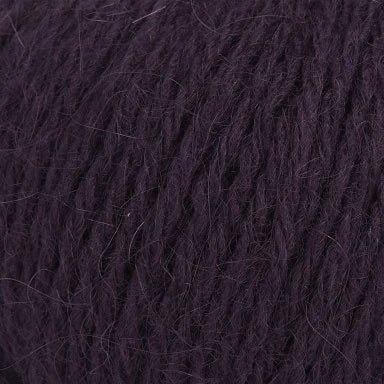 col. 911 raisin