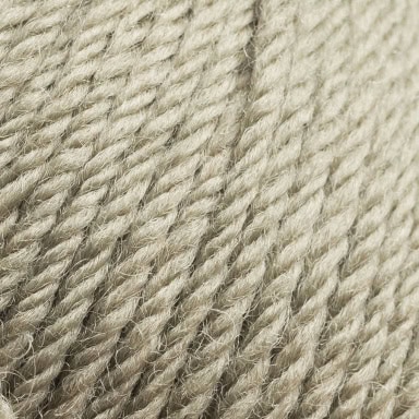 col. 193 fern