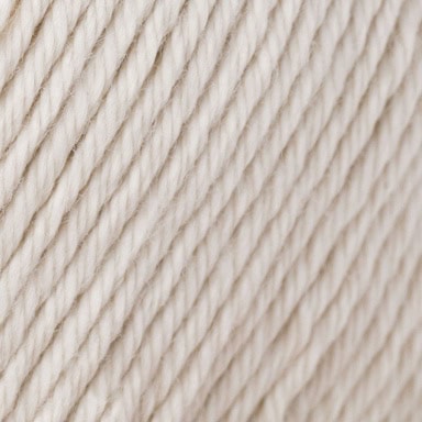 col. 466 seashell