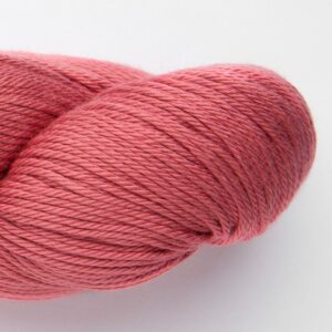 Raspberry