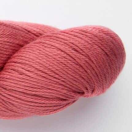 Raspberry