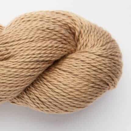 Macadamia