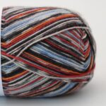 Socks & More Collection 4ply Fall Night Color - Arne & Carlos