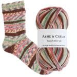 Socks & More Collection 4ply Worn Floorboards Color - Arne & Carlos