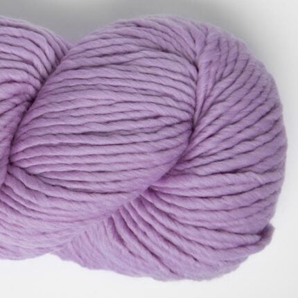 Lilac Daisy