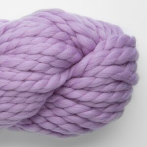 Lilac Daisy