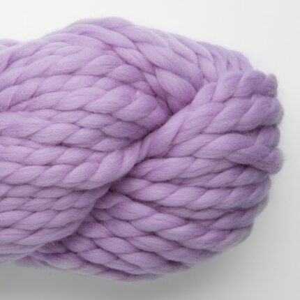 Lilac Daisy